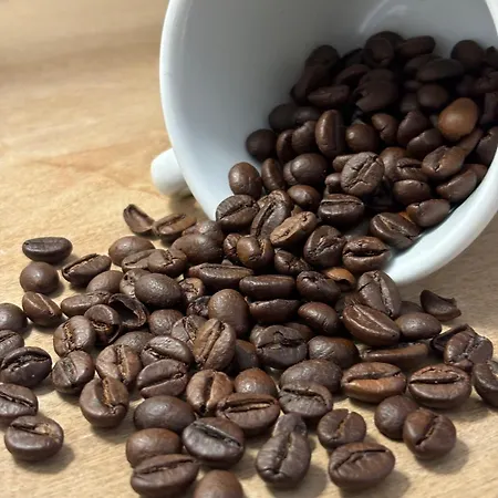 Mami Vatican St Peters